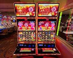 11nn55 bet