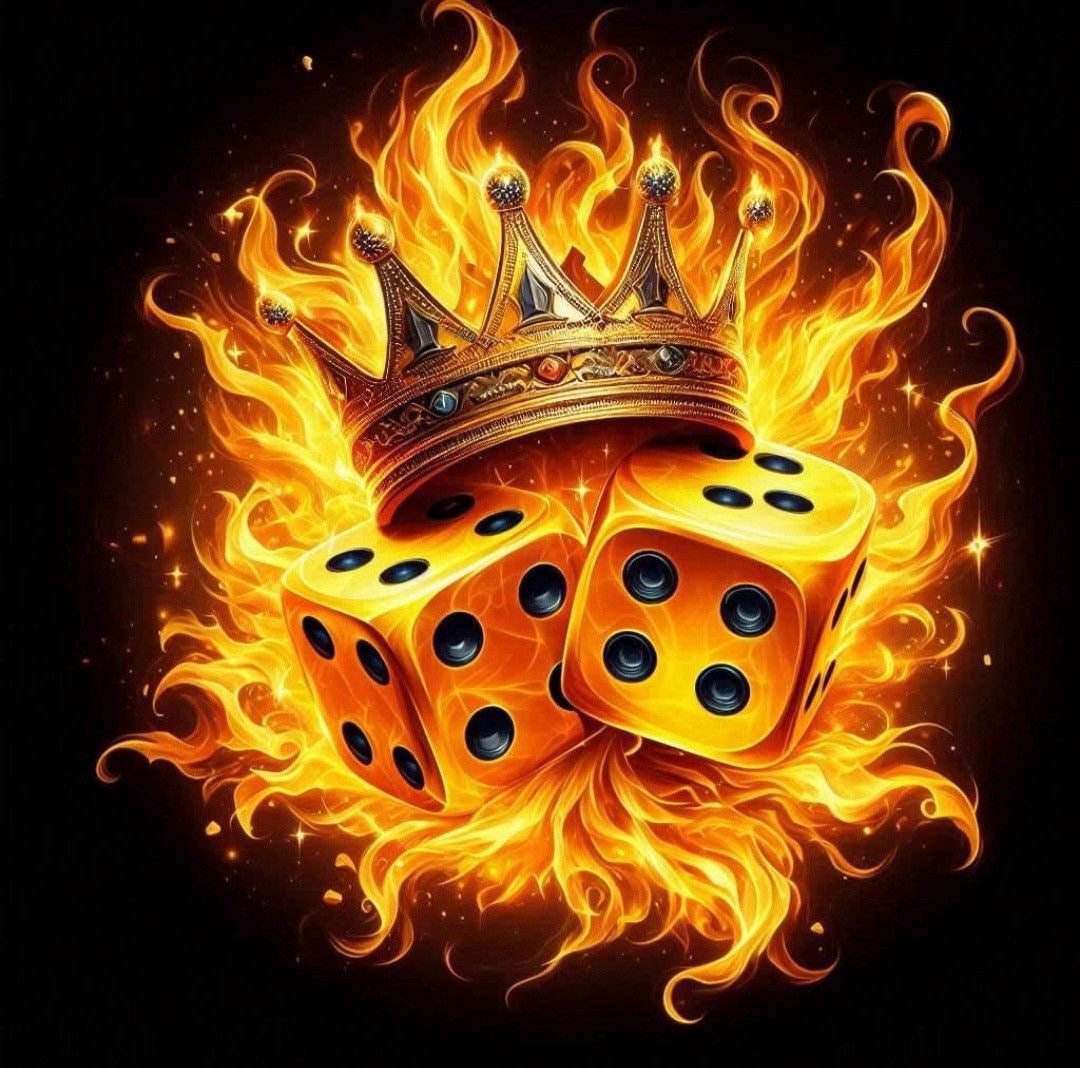11nn55 bet